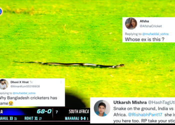 भारत बनाम दक्षिण अफ्रीका मैच में मैदान के बीच में निकल आया सांप, ट्विटर पर प्रतिक्रियाओं का सैलाब