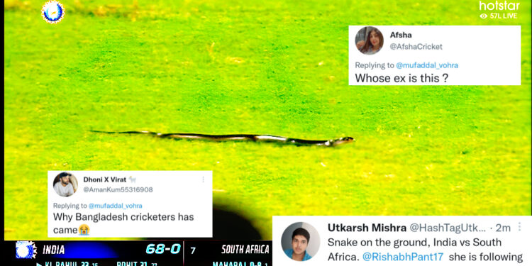 भारत बनाम दक्षिण अफ्रीका मैच में मैदान के बीच में निकल आया सांप, ट्विटर पर प्रतिक्रियाओं का सैलाब