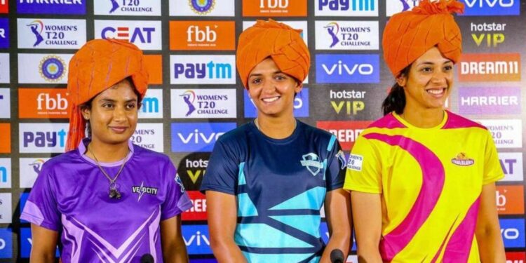 वीमेंस IPL के पहले सीजन में खेल सकती हैं 5 टीमें, अगले साल हो सकती है पहले सत्र की शुरुआत