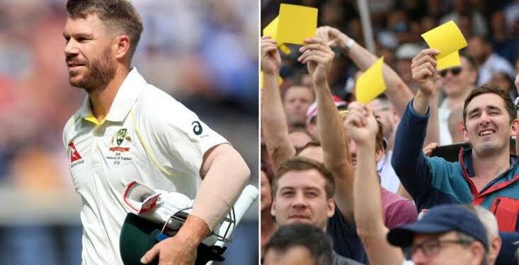 डेविड वॉर्नर के ऊपर से हट सकता है कप्तानी का बैन, वनडे टीम के नेतृत्व की दौड़ में स्मिथ से आगे