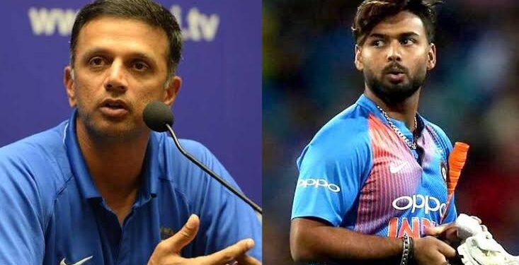 टी20 वर्ल्ड कप 2022- आगे के मैचों में ऋषभ पंत को खिलाने को लेकर राहुल द्रविड़ ने दिया बड़ा बयान